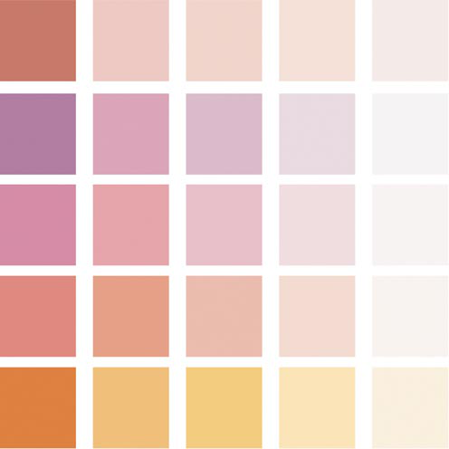 Protech Oxicrom image 2